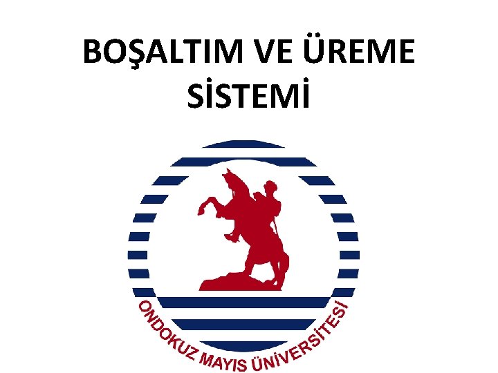 BOŞALTIM VE ÜREME SİSTEMİ 