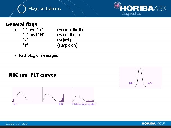 Flags and alarms General flags • “l” and “h” “L” and “H” “x” “!”