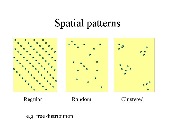 Spatial patterns Regular Random e. g. tree distribution Clustered 