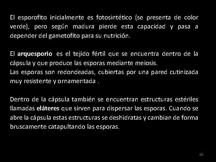 El esporofito inicialmente es fotosintético (se presenta de color verde), pero según madura pierde El esporofito inicialmente es fotosintético (se presenta de color verde), pero según madura pierde