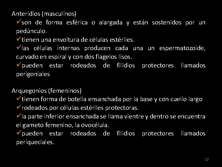 Anteridios (masculinos) üson de forma esférica o alargada y están sostenidos por un pedúnculo. Anteridios (masculinos) üson de forma esférica o alargada y están sostenidos por un pedúnculo.
