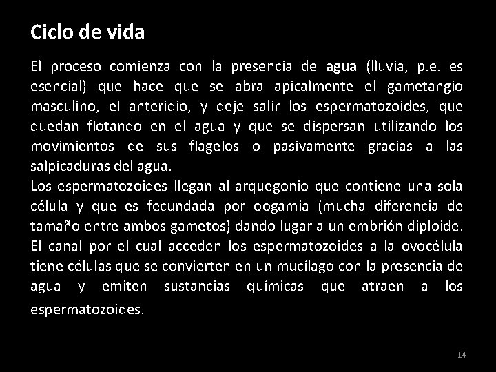Ciclo de vida El proceso comienza con la presencia de agua (lluvia, p. e. Ciclo de vida El proceso comienza con la presencia de agua (lluvia, p. e.
