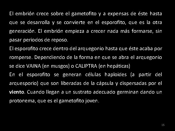 El embrión crece sobre el gametofito y a expensas de éste hasta que se El embrión crece sobre el gametofito y a expensas de éste hasta que se
