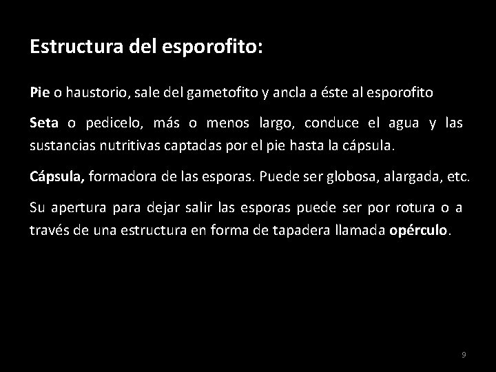 Estructura del esporofito: Pie o haustorio, sale del gametofito y ancla a éste al Estructura del esporofito: Pie o haustorio, sale del gametofito y ancla a éste al