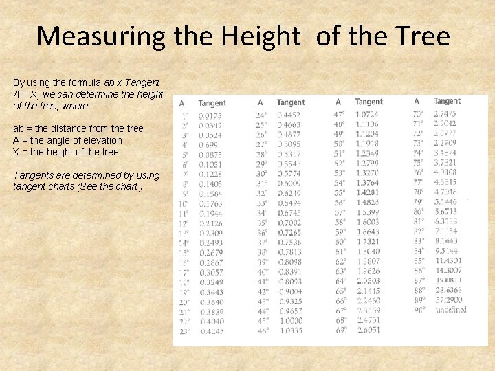 Measuring tree volume How much wood is in