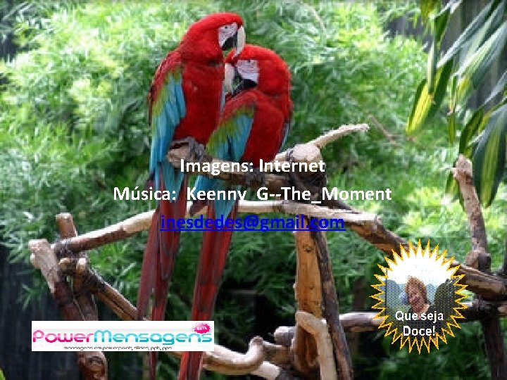 Imagens: Internet Música: Keenny_G--The_Moment inesdedes@gmail. com 