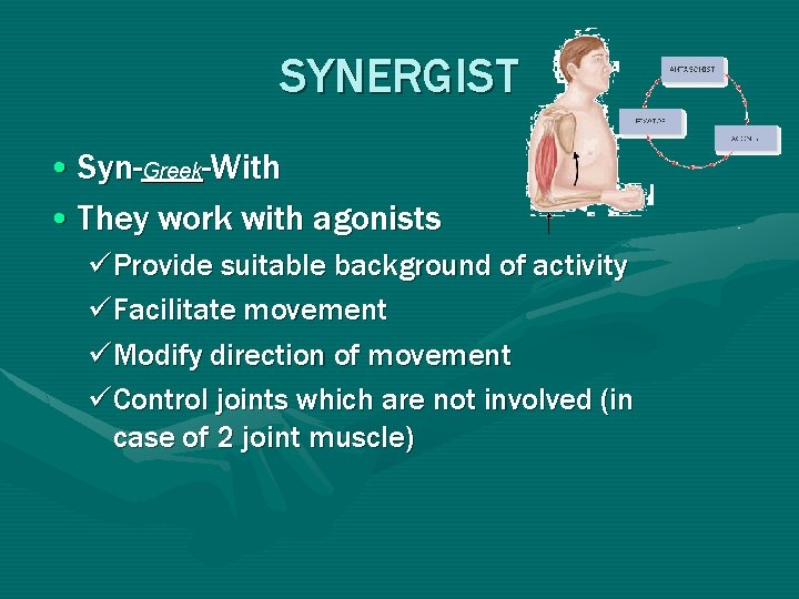 SYNERGIST • Syn-Greek-With • They work with agonists üProvide suitable background of activity üFacilitate SYNERGIST • Syn-Greek-With • They work with agonists üProvide suitable background of activity üFacilitate