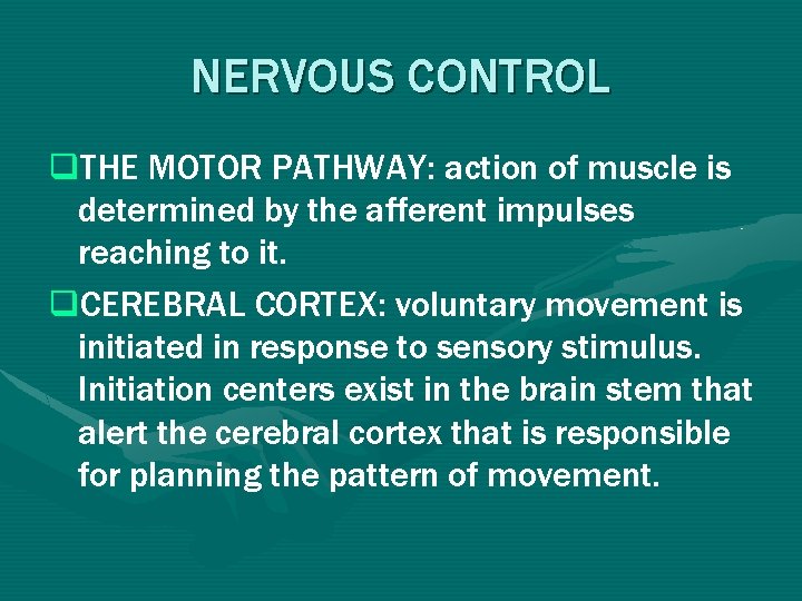 NERVOUS CONTROL q. THE MOTOR PATHWAY: action of muscle is determined by the afferent NERVOUS CONTROL q. THE MOTOR PATHWAY: action of muscle is determined by the afferent