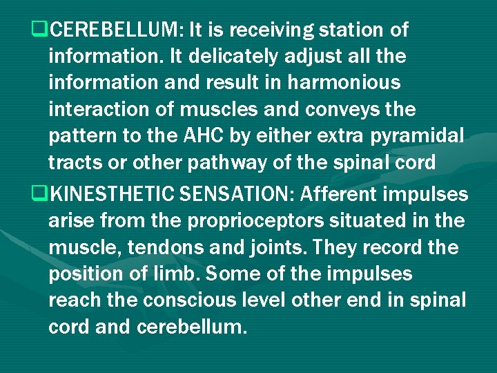 q. CEREBELLUM: It is receiving station of information. It delicately adjust all the information q. CEREBELLUM: It is receiving station of information. It delicately adjust all the information