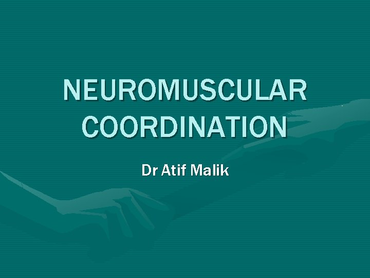 NEUROMUSCULAR COORDINATION Dr Atif Malik NEUROMUSCULAR COORDINATION Dr Atif Malik