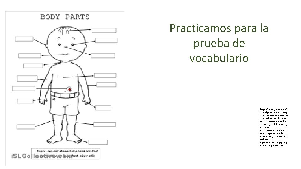 Practicamos para la prueba de vocabulario https: //www. google. com/s earch? q=partes+del+cuerp o, +worksheets&tbm=isch&