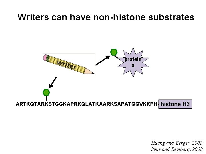 Writers can have non-histone substrates protein X ARTKQTARKSTGGKAPRKQLATKAARKSAPATGGVKKPH- histone H 3 Huang and Berger,