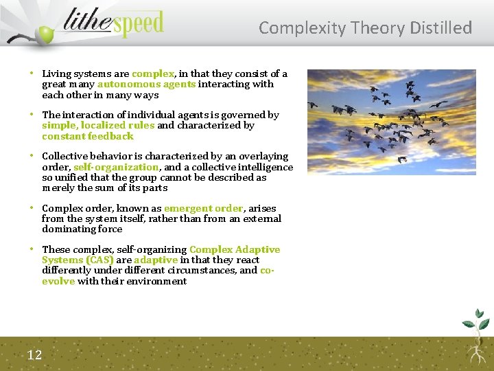 Complexity Theory Distilled • Living systems are complex, in that they consist of a