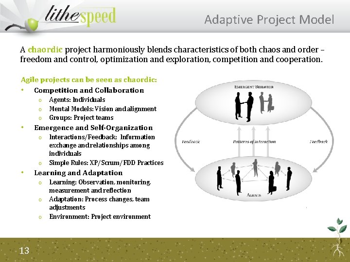 Adaptive Project Model A chaordic project harmoniously blends characteristics of both chaos and order