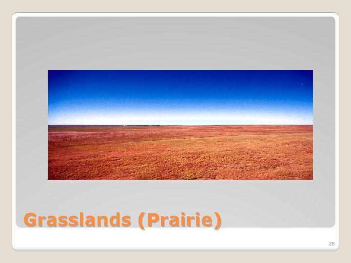 Grasslands (Prairie) 26 