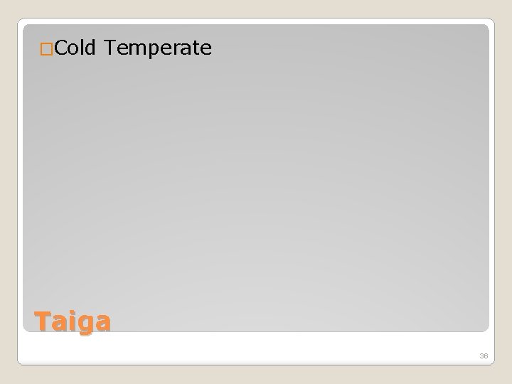 �Cold Temperate Taiga 36 