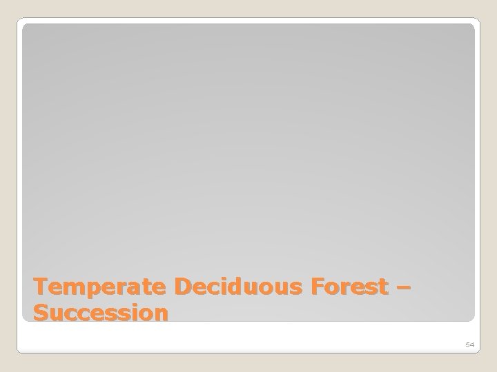Temperate Deciduous Forest – Succession 54 