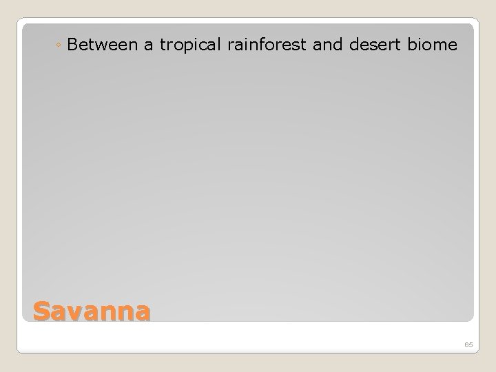 ◦ Between a tropical rainforest and desert biome Savanna 65 