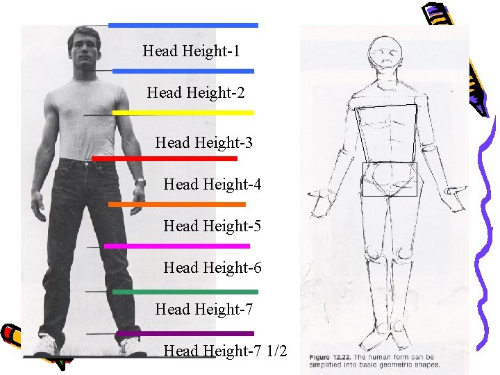 Head Height-1 Head Height-2 Head Height-3 Head Height-4 Head Height-5 Head Height-6 Head Height-7