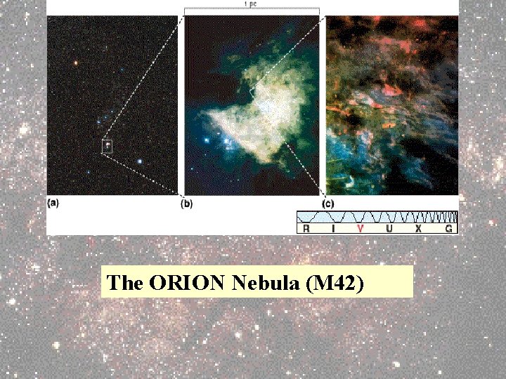The ORION Nebula (M 42) 