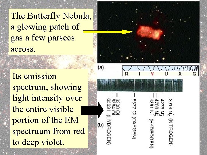 The Butterfly Nebula, a glowing patch of gas a few parsecs across. Its emission