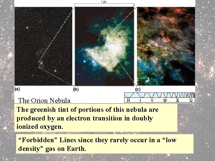The Orion Nebula The greenish tint of portions of this nebula are produced by