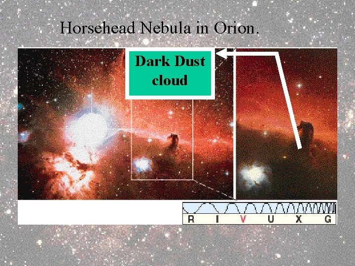 Horsehead Nebula in Orion. Dark Dust cloud 