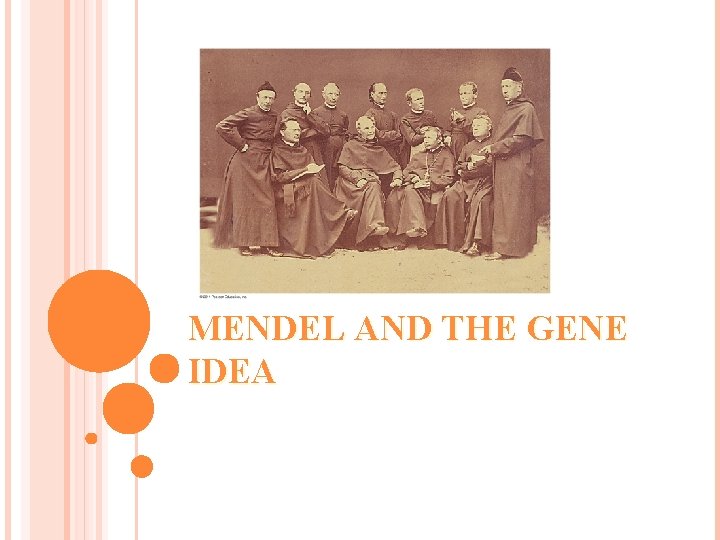 MENDEL AND THE GENE IDEA 