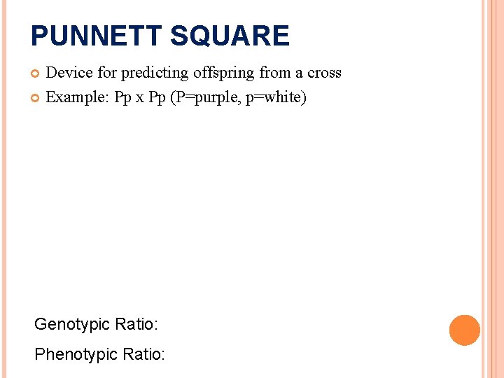 PUNNETT SQUARE Device for predicting offspring from a cross Example: Pp x Pp (P=purple,