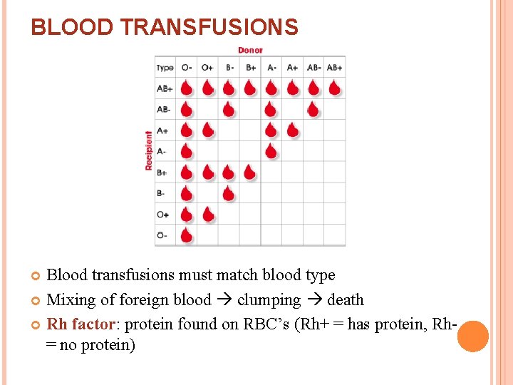 BLOOD TRANSFUSIONS Blood transfusions must match blood type Mixing of foreign blood clumping death