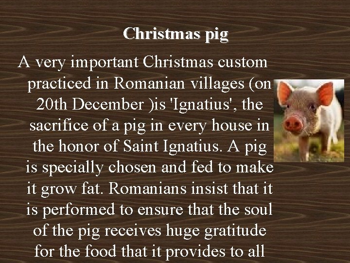 Christmas pig A very important Christmas custom practiced in Romanian villages (on 20 th Christmas pig A very important Christmas custom practiced in Romanian villages (on 20 th