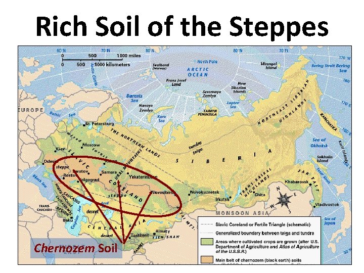 Rich Soil of the Steppes Chernozem Soil 