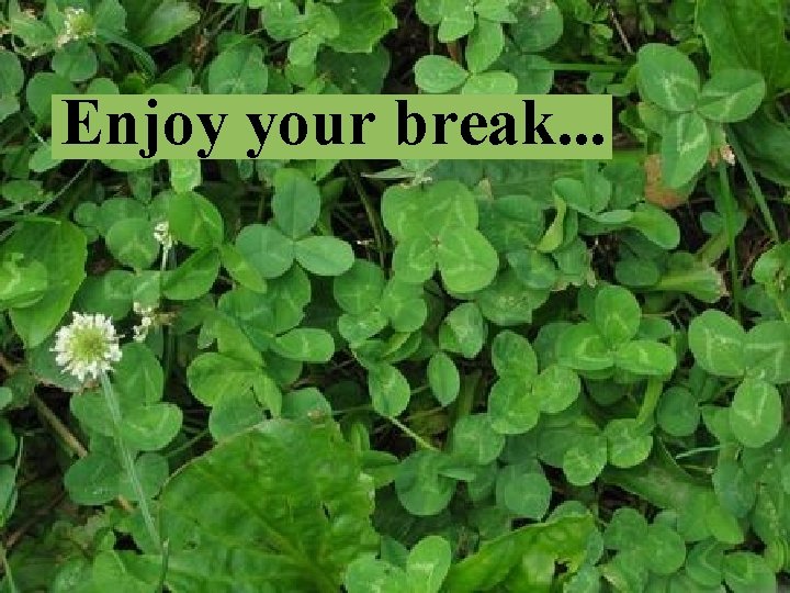 Enjoy your break. . .  Enjoy your break. . .
