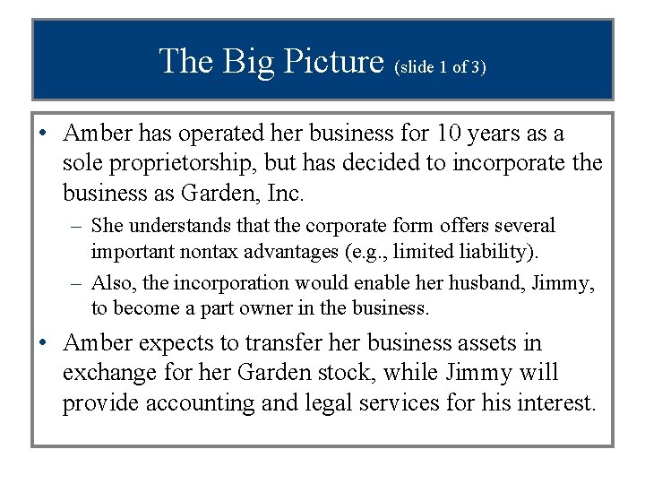 The Big Picture (slide 1 of 3) • Amber has operated her business for