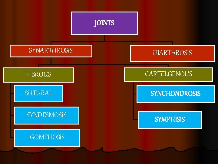 JOINTS SYNARTHROSIS FIBROUS SUTURAL SYNDESMOSIS GOMPHOSIS DIARTHROSIS CARTELGENOUS SYNCHONDROSIS SYMPHISIS 