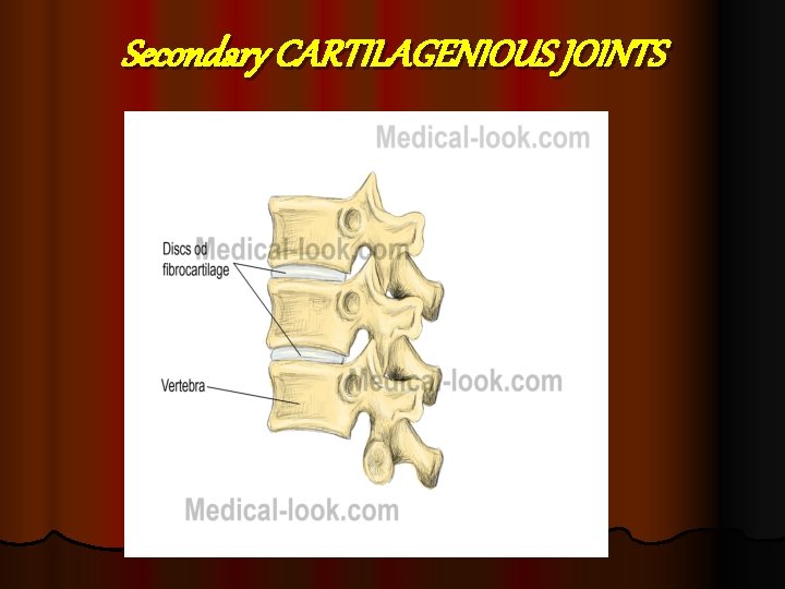 Secondary CARTILAGENIOUS JOINTS 