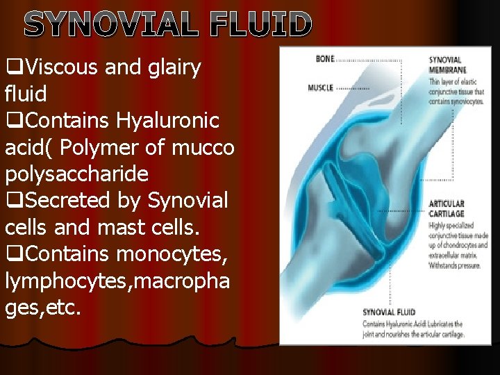 SYNOVIAL FLUID q. Viscous and glairy fluid q. Contains Hyaluronic acid( Polymer of mucco