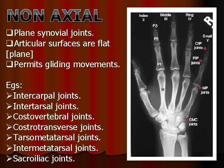 NON AXIAL q. Plane synovial joints. q. Articular surfaces are flat [plane] q. Permits