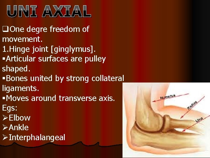 UNI AXIAL q. One degre freedom of movement. 1. Hinge joint [ginglymus]. §Articular surfaces