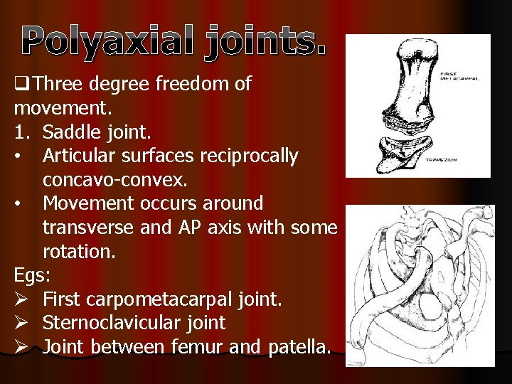 Polyaxial joints. q. Three degree freedom of movement. 1. Saddle joint. • Articular surfaces