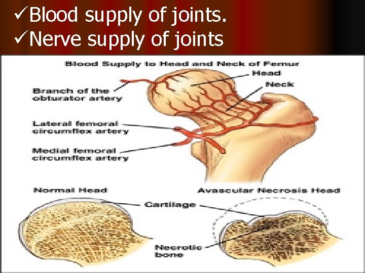 üBlood supply of joints. üNerve supply of joints 