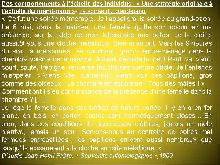 Des comportements à l’échelle des individus : « Une stratégie originale à l’échelle du