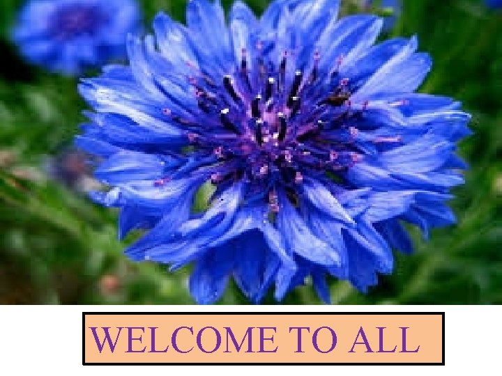 WELCOME TO ALL 