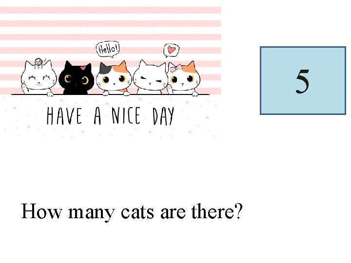 5 How many cats are there? 