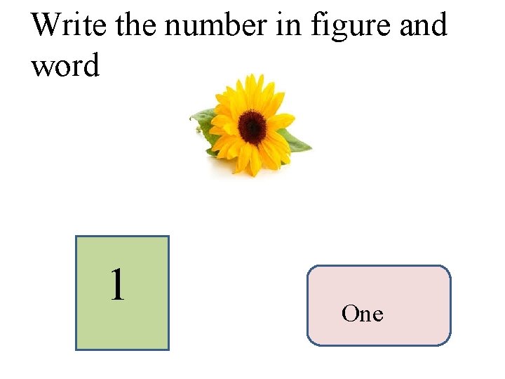 Write the number in figure and word 1 One 