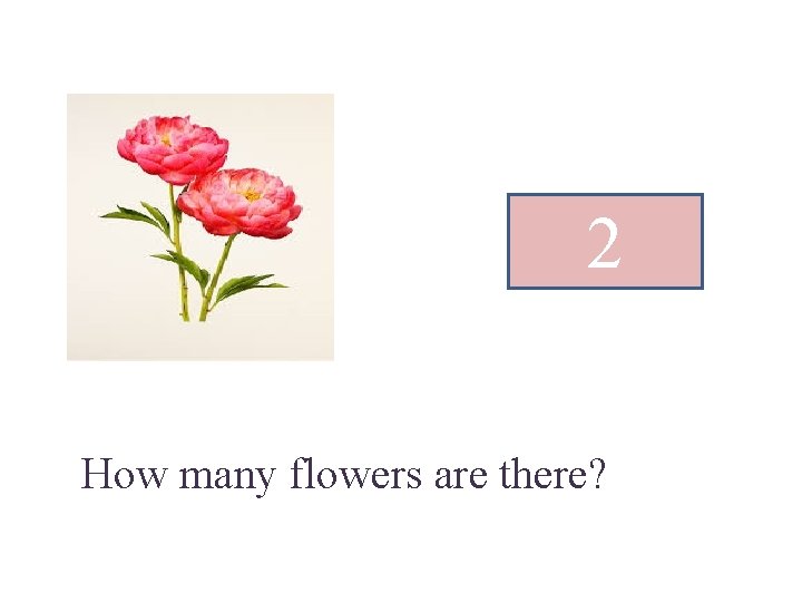 2 How many flowers are there? 