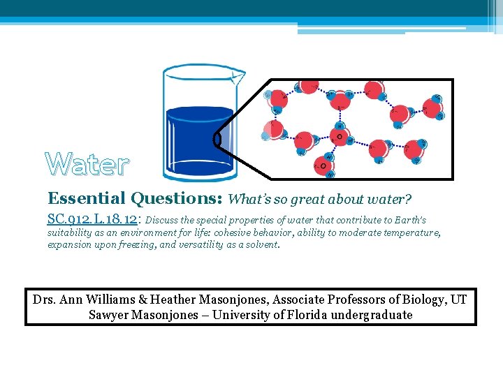 Water Essential Questions: What’s so great about water? SC. 912. L. 18. 12: Discuss