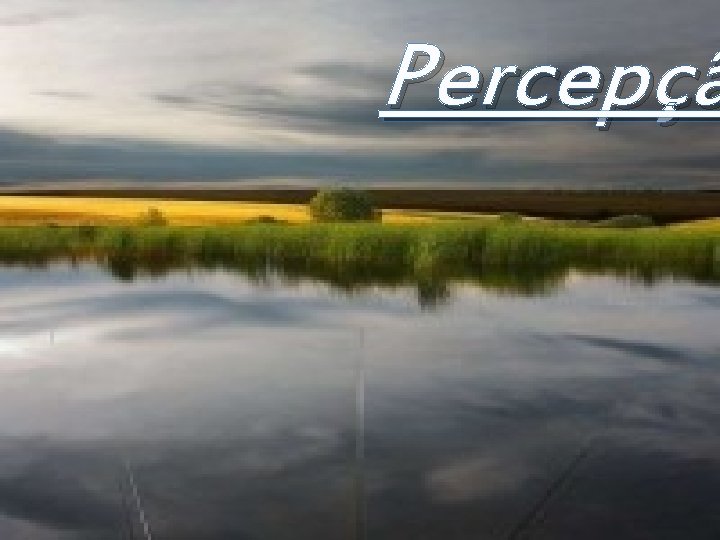 Percepçã 