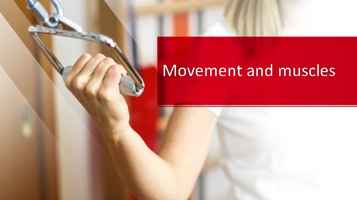 Movement and muscles 