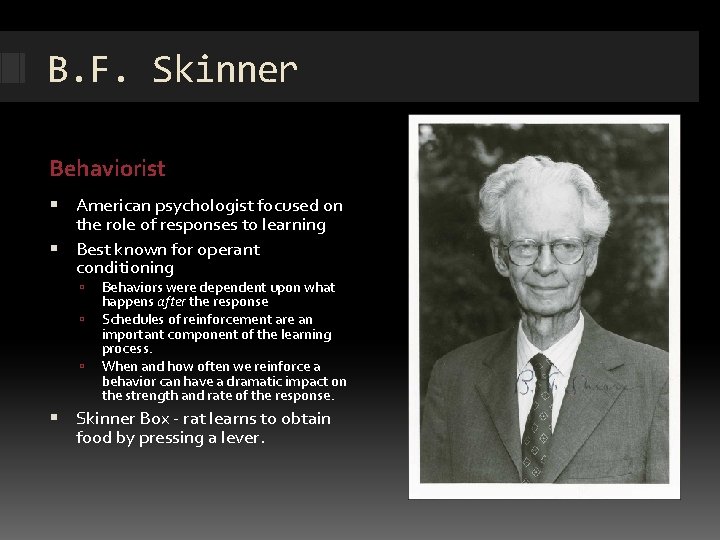 B. F. Skinner Behaviorist American psychologist focused on the role of responses to learning